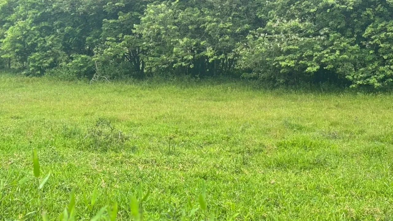 Terreno Exclusivo no Loteamento Villa Ribeirão, Oportunidade Imperdível!
