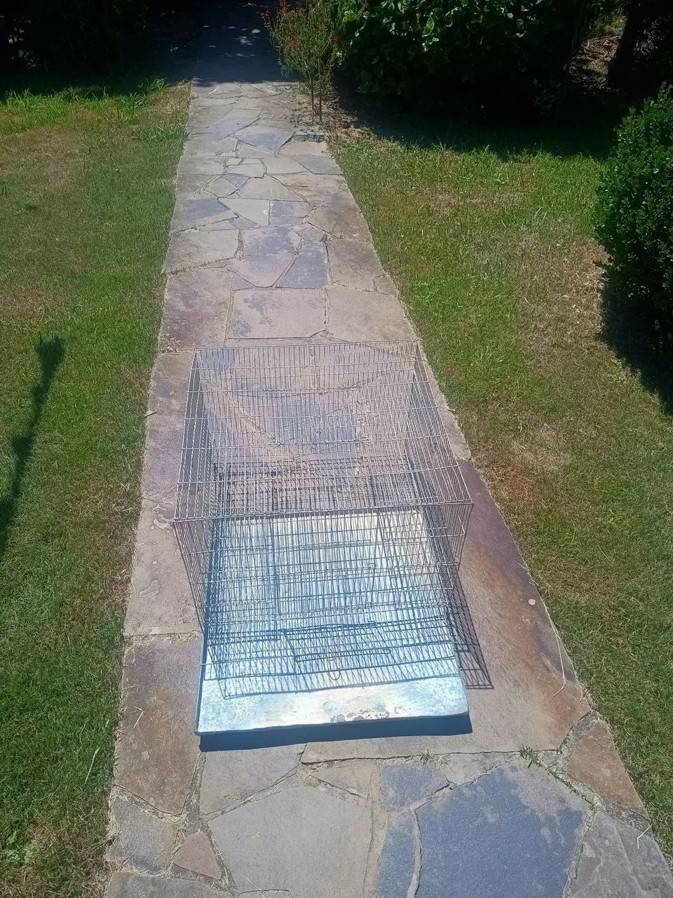 Gaiola para animais de estimação e roedores  - Foto 5