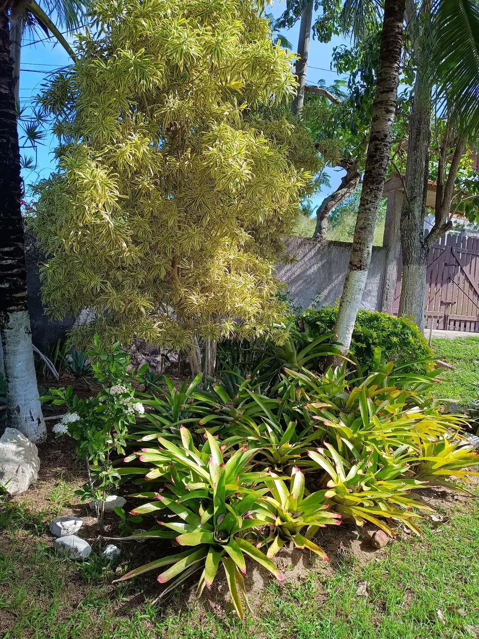 Casa Temporada, 4 Quartos, Piscina, Churrasqueira e Campo de Futebol - São Pedro da Aldeia - Foto 5