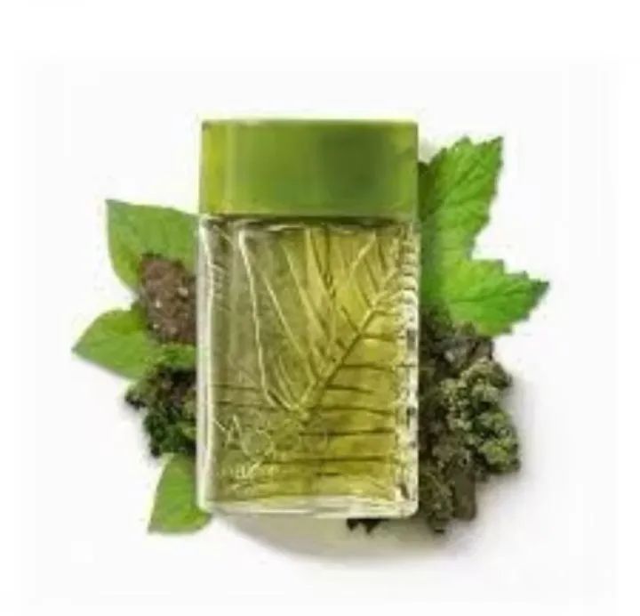 Perfume Arbo - 6 Fragrâncias - 100ml - Foto 4