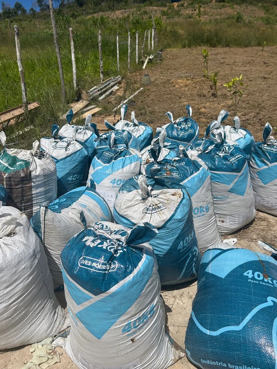 Adubo de galinha  - Foto 6