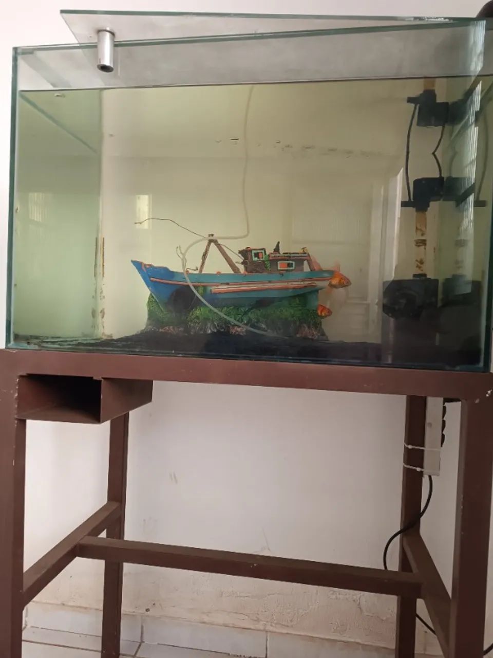 Selling 175-Liter Aquarium