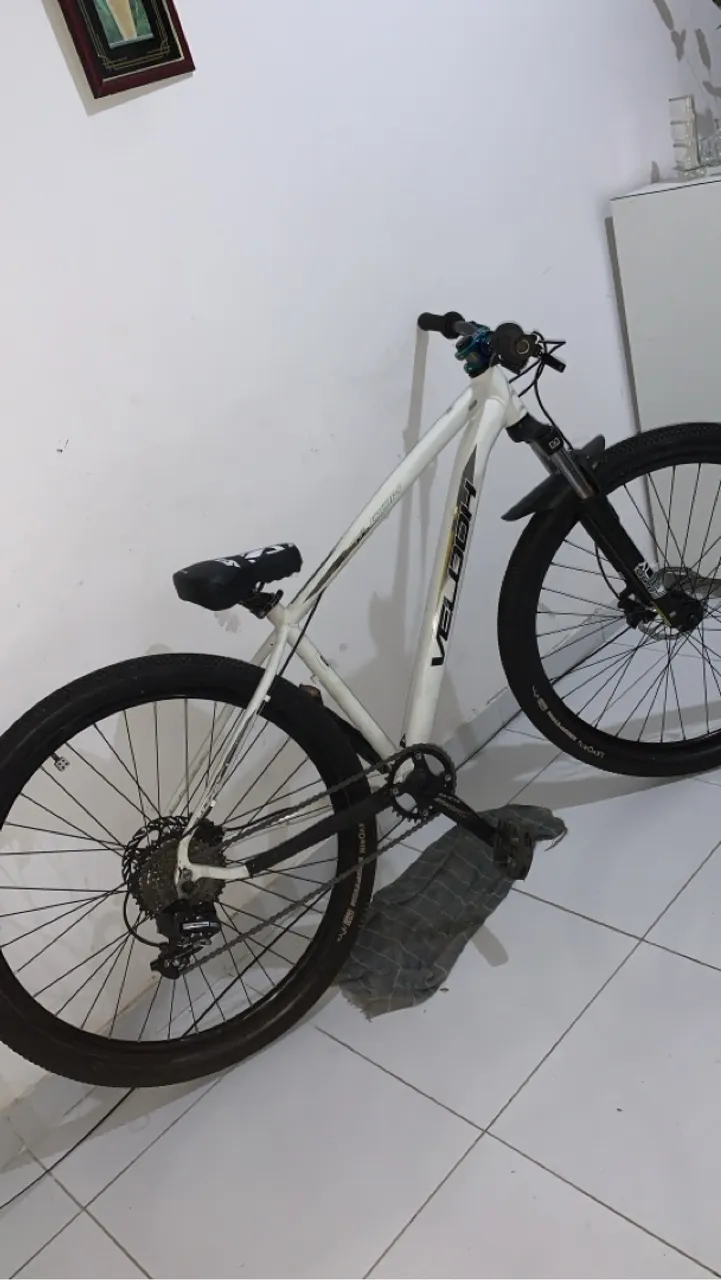 Bike aro 29