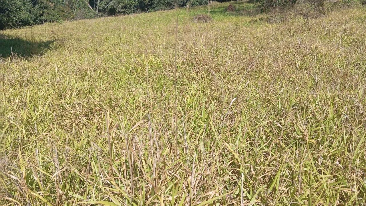 10 alqueires em Corumbá de Goiás - Foto 4