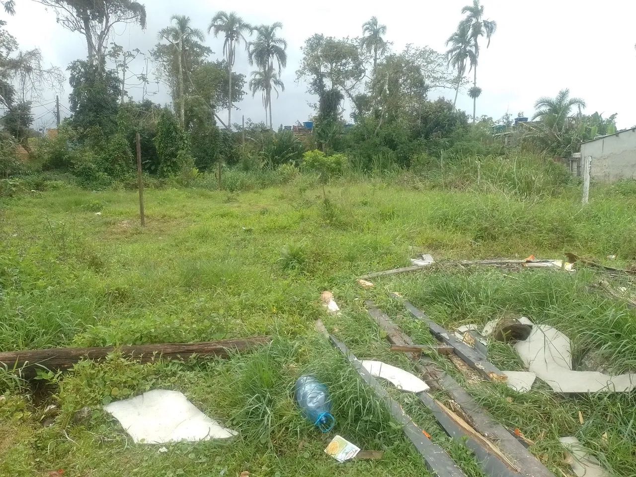 Foto - Bertioga - Boraceia