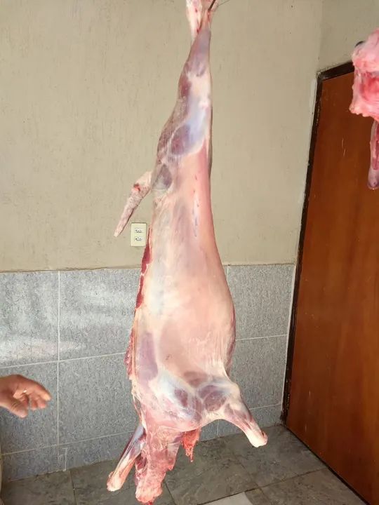 Carne de Cordeiro Fresca -  Corte Especial - Foto 2