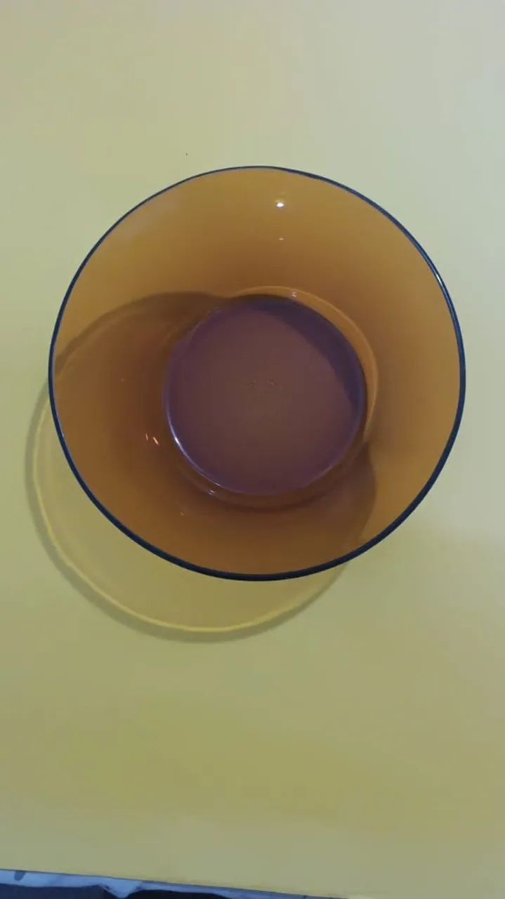 Tigela original Duralex - Foto 3