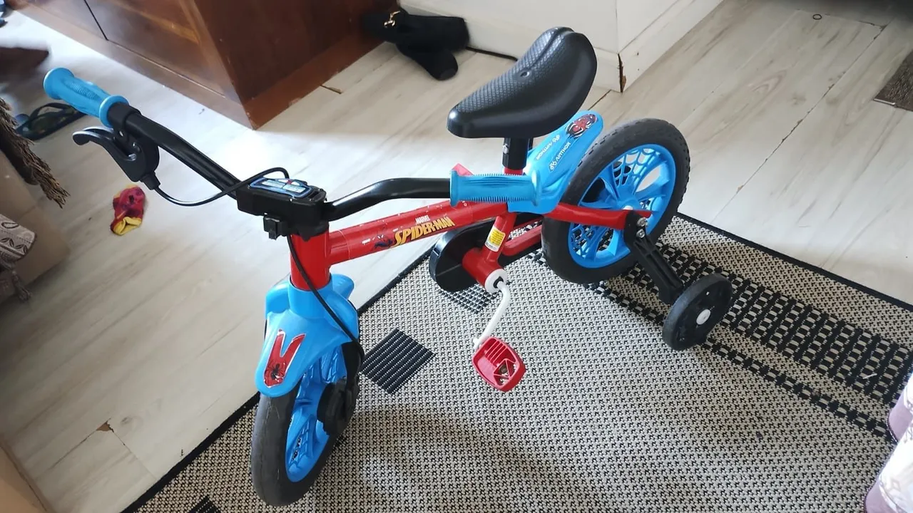 Bike Aro12