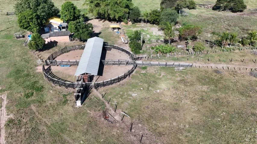 Fazenda 288 hectares com Rio! - Foto 3