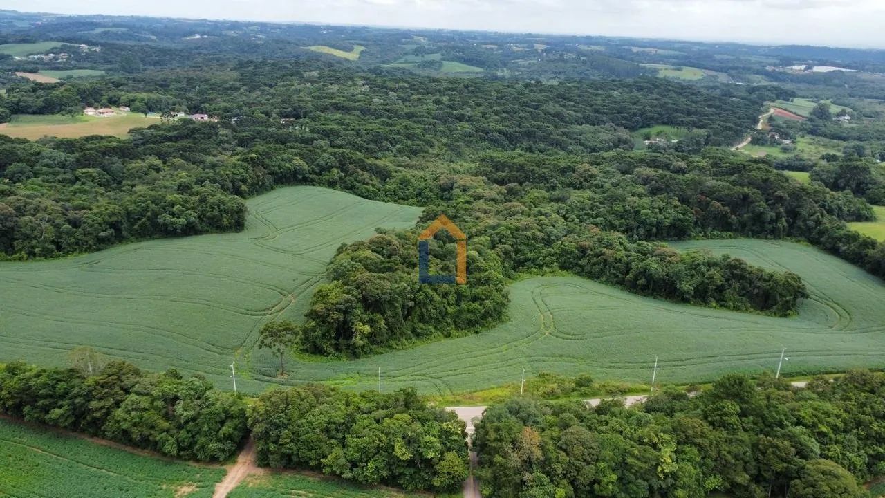 Área para venda em Araucária - PR - Foto 3