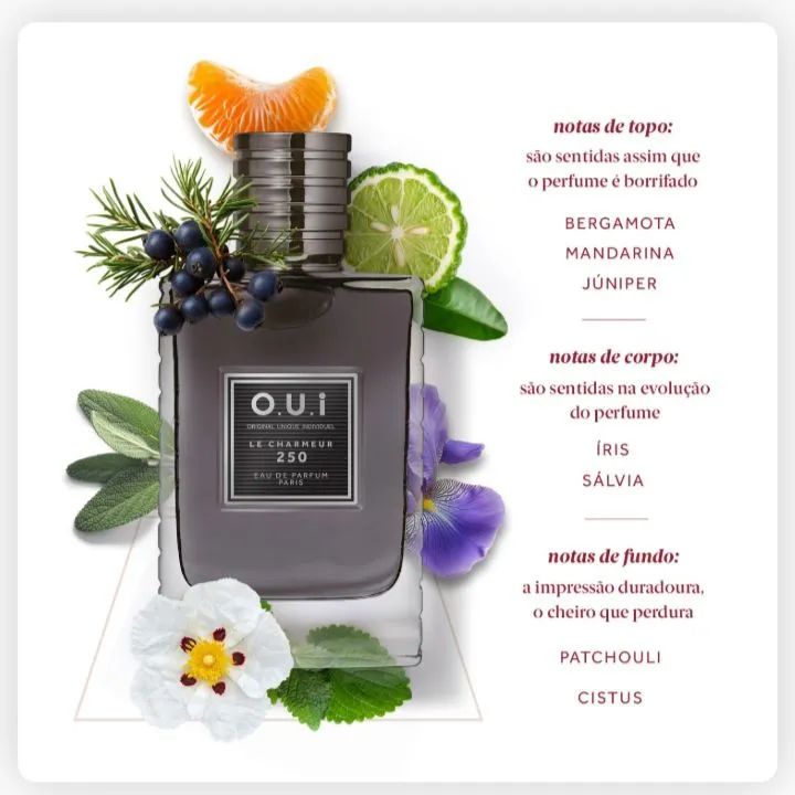 Perfume Masculino O.U.I Le Charmeur 250ml - Foto 2