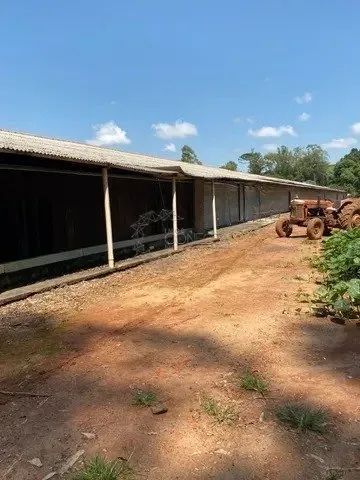 Sitio | Tamarana - Foto 4