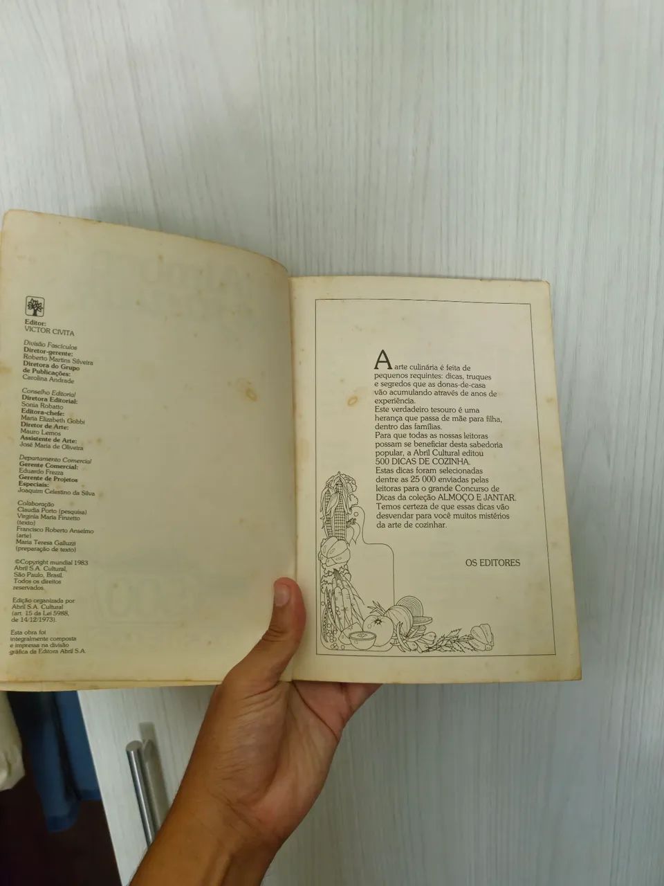 Livro  Almoço e Jantar 500 Dicas  Cozinha  - Foto 5