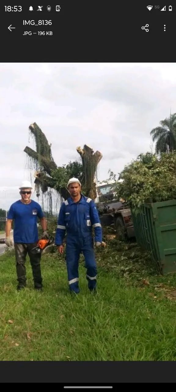Corte de árvores Niterói e São Gonçalo  - Foto 4