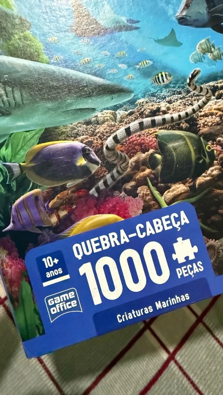 Quebra cabeça 1000 peças 