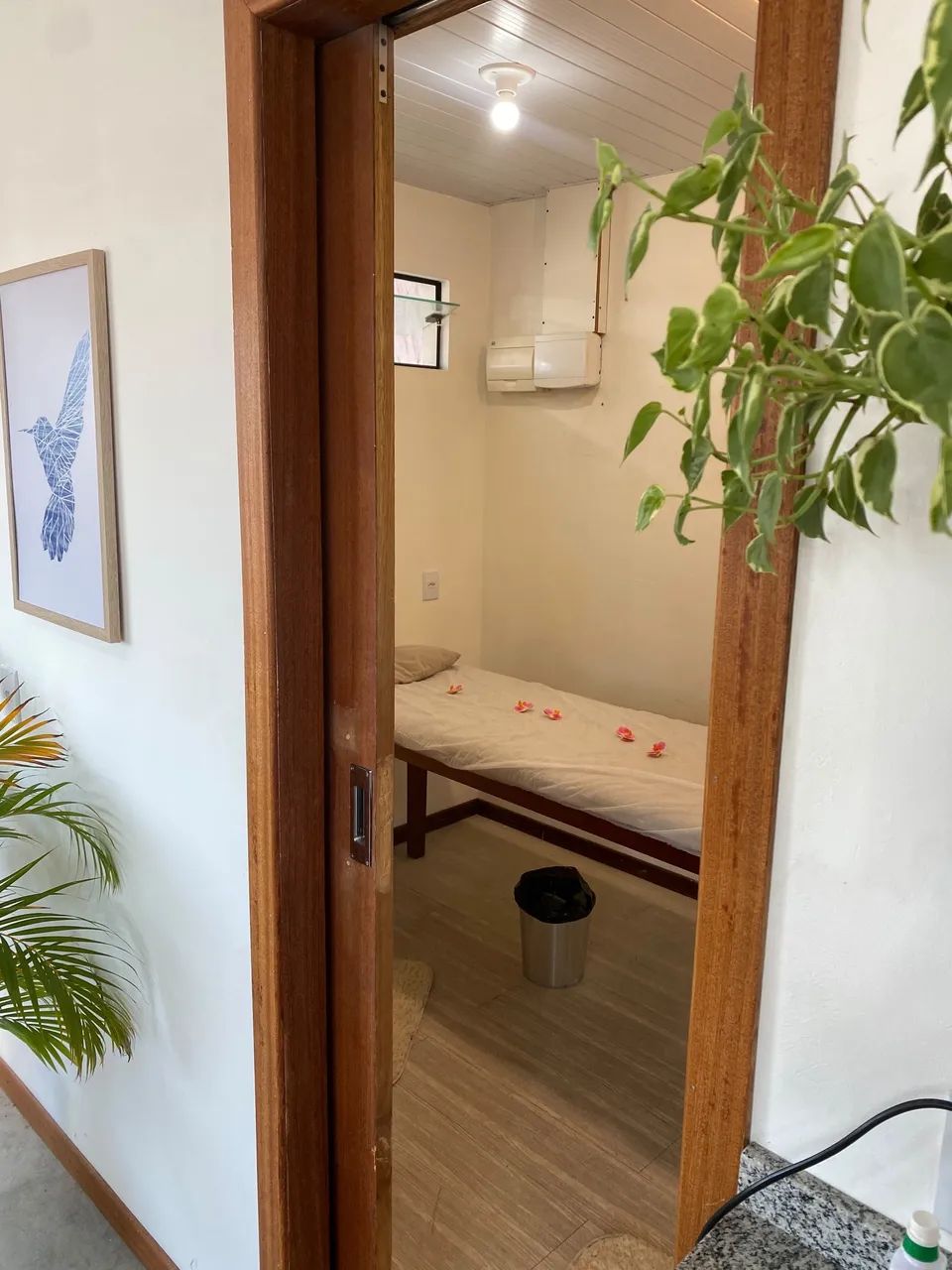 Sala disponível para COWORKING no Campeche