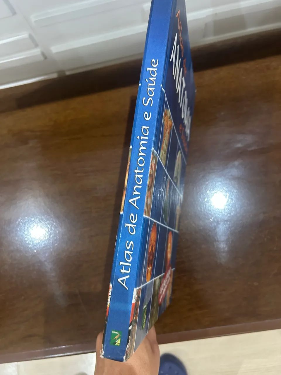 Atlas de anatomia  - Foto 3
