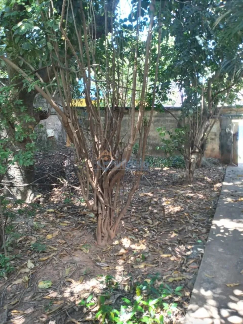 ÓTIMO LOTE NO BAIRRO INDAIA COM 529,43 METROS. - Foto 3