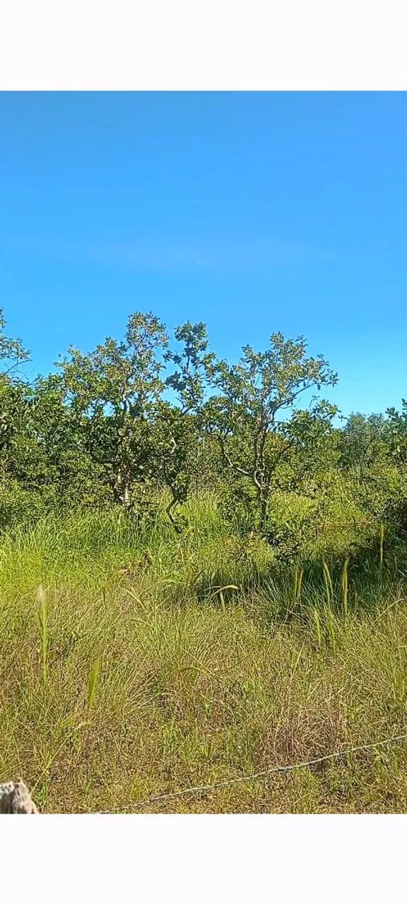 Chácara 7ALQ em Natividade documentado  - Foto 3