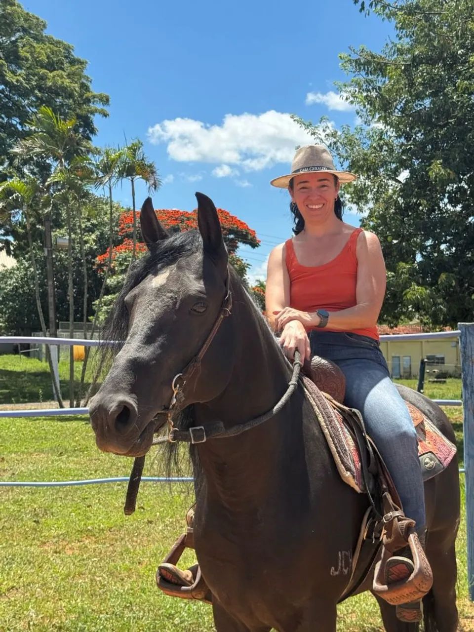 Raridade, cavalo preto Registrado, manso de marcha batida, lindo, quem vê quer montar!