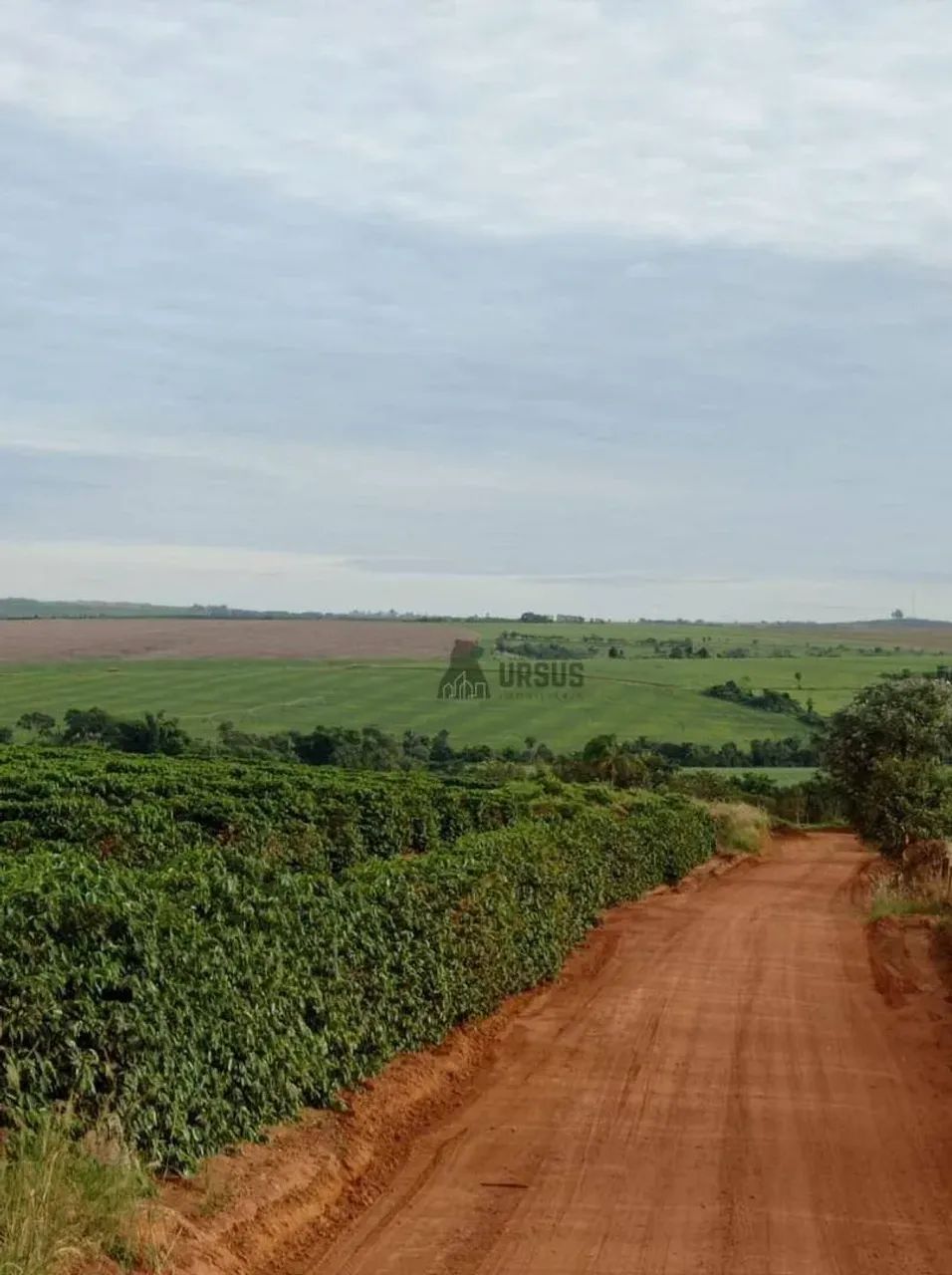 Fazenda Café à venda