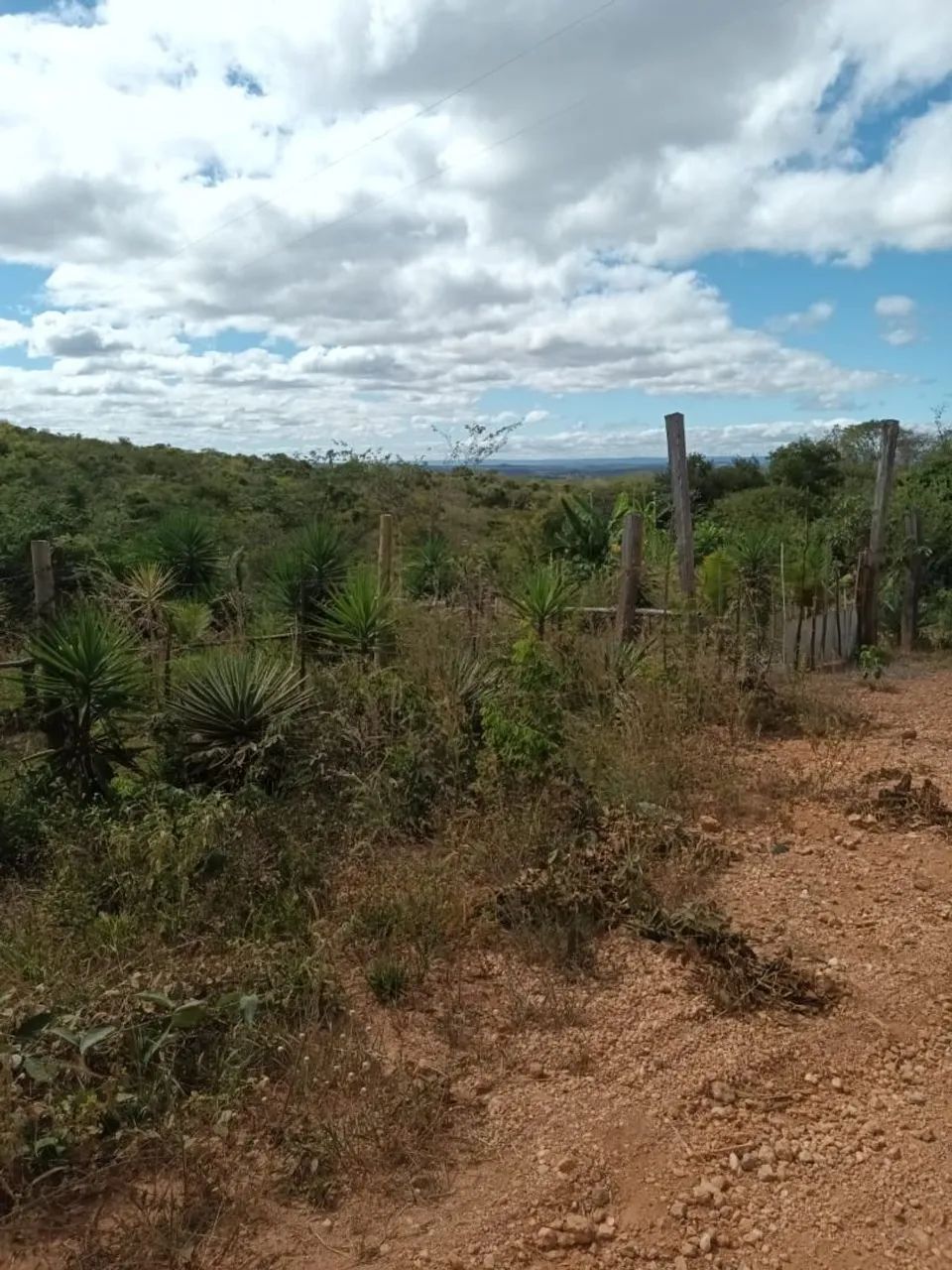 Vendo ou troco terreno