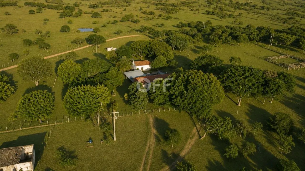 fazenda - Vale das Cancelas - Grão Mogol - Foto 4