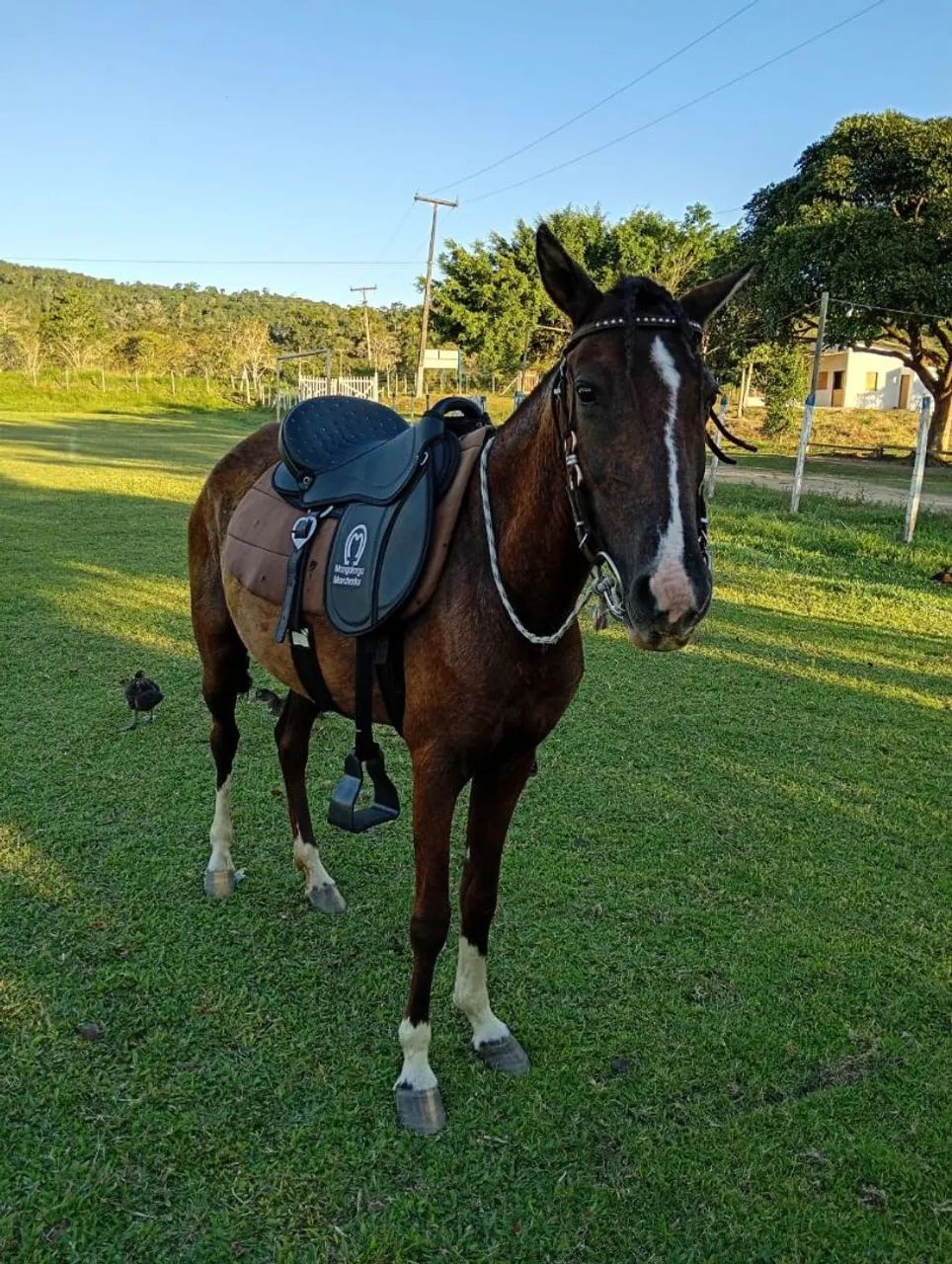 Porda bem novinha  