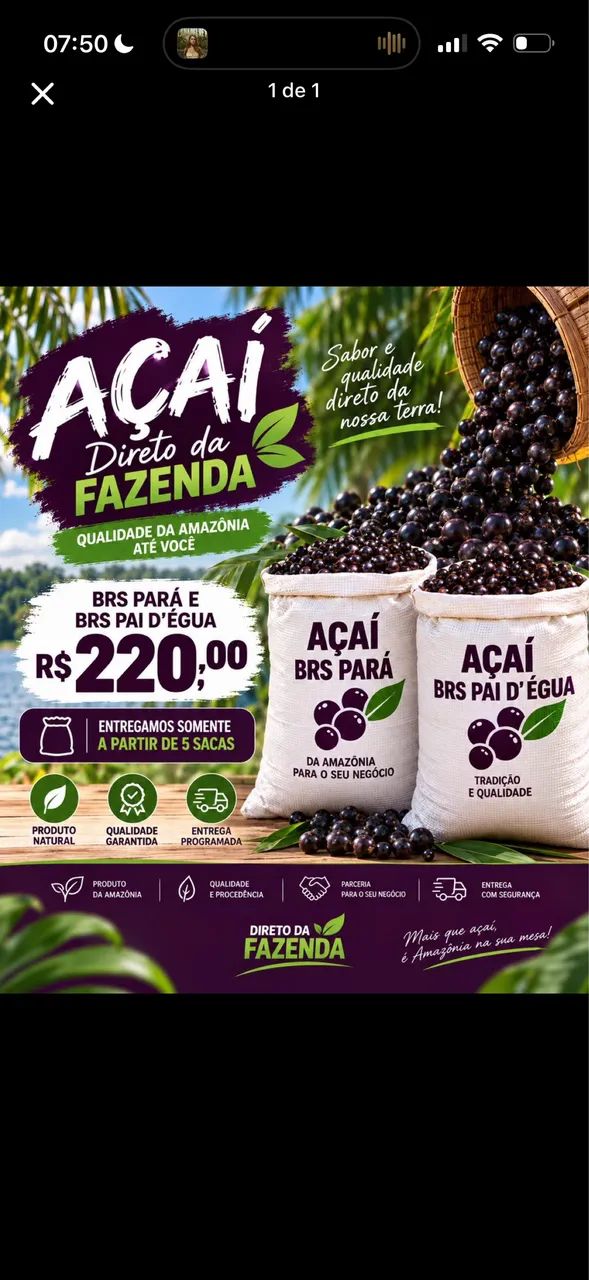Açaí em saca 