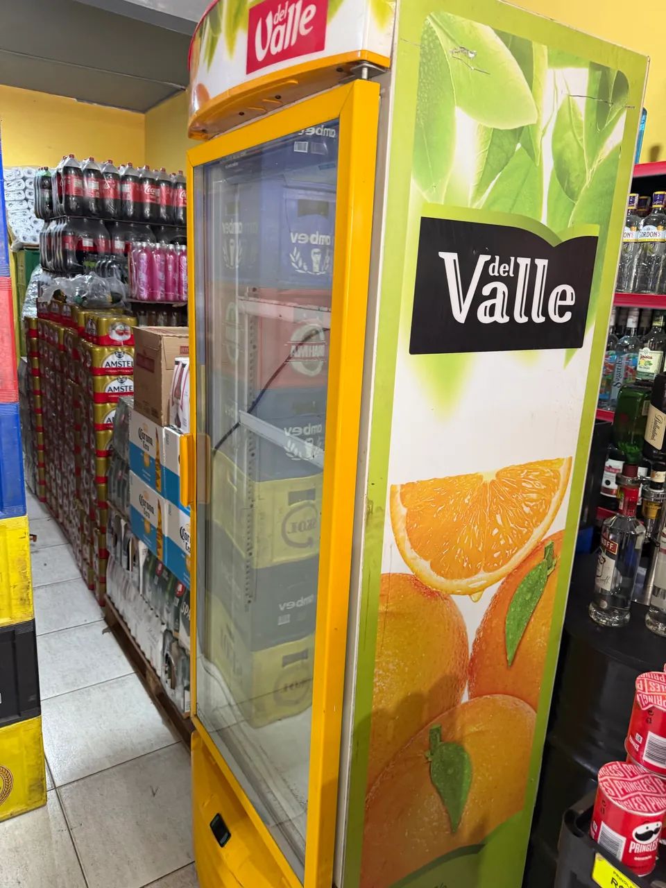 Freezer expositor 