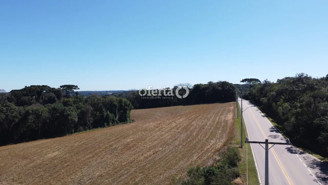 Terreno em Araucária