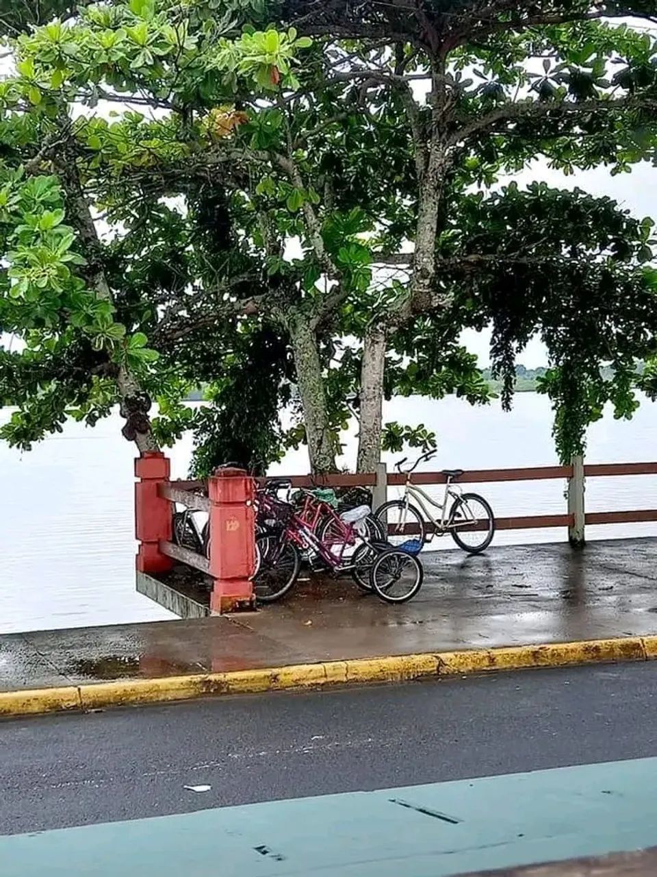 Casa térrea  com piscina  - Foto 5