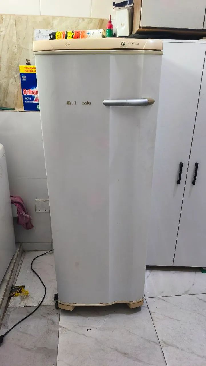 Freezer Vertical Electrolux 