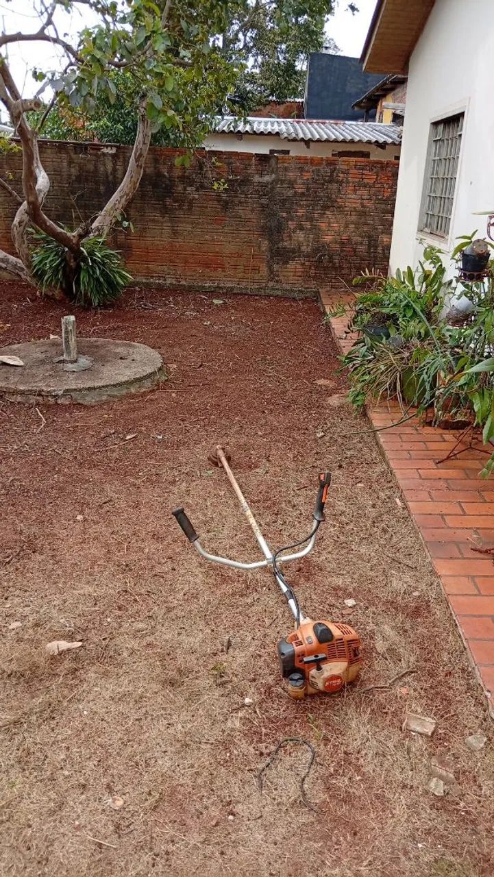 Jardinagem  - Foto 5