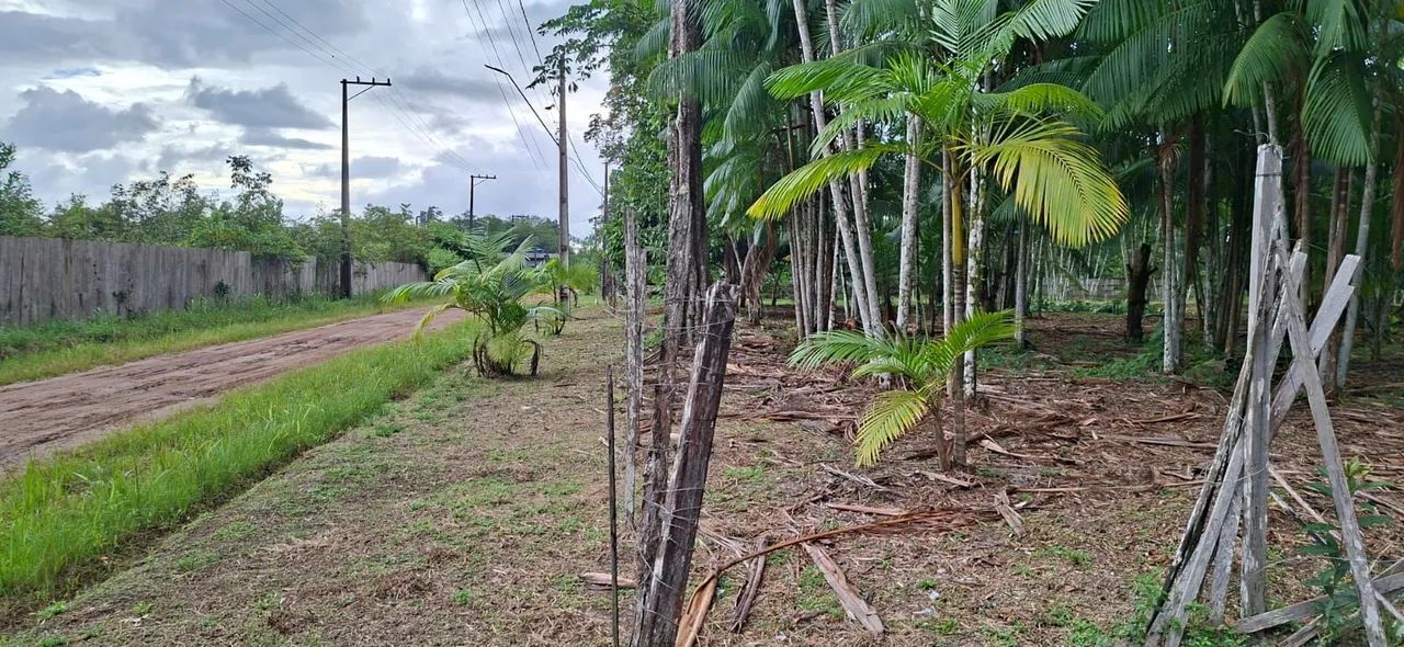 Terreno a venda em Benevides  - Foto 4