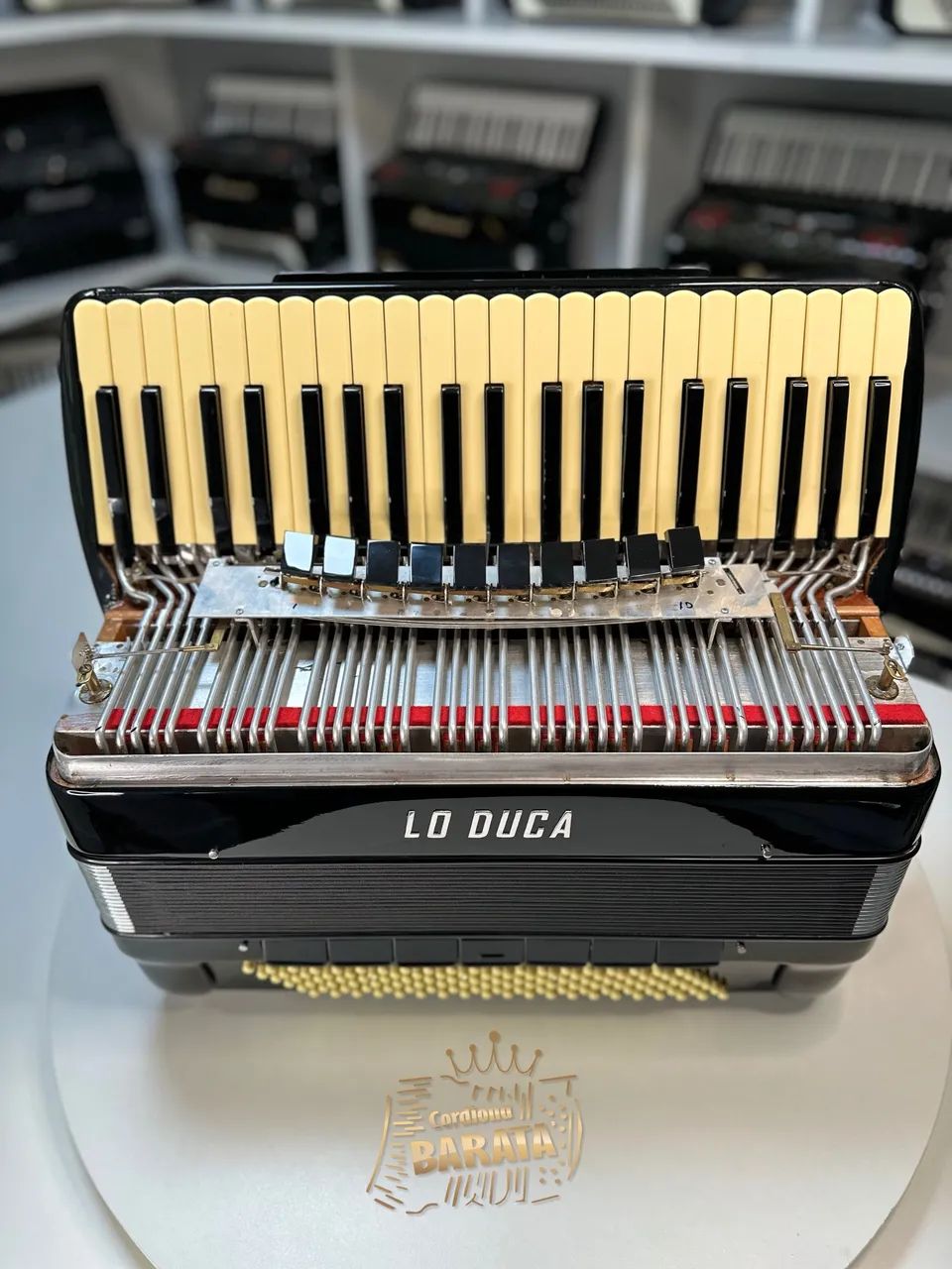 Acordeon Lo Duca 4/5 Quádruplo cassoto - Instrumentos musicais
