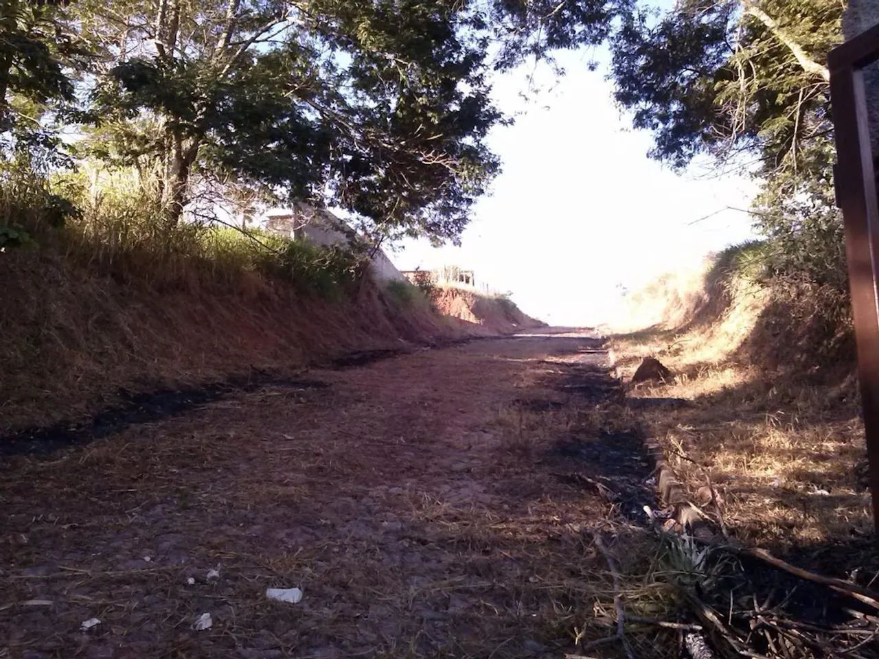 Lote / Terreno - Bosque dos Pinheiros - Foto 4