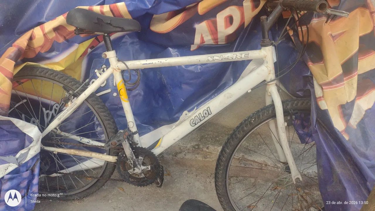 Bicicleta 
