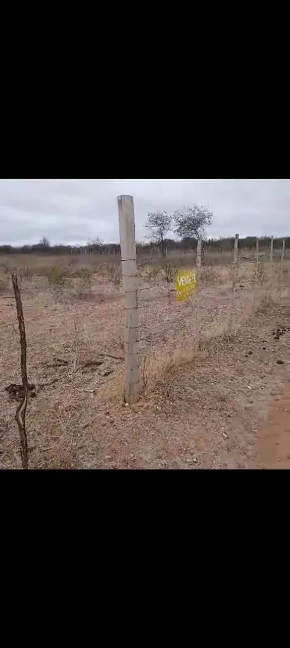 Vendo terreno pra chacra