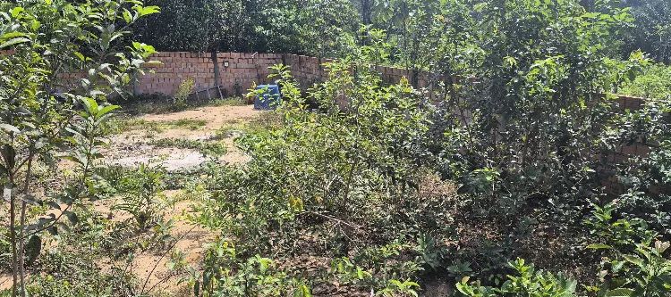 Terreno no paricatuba - Foto 2