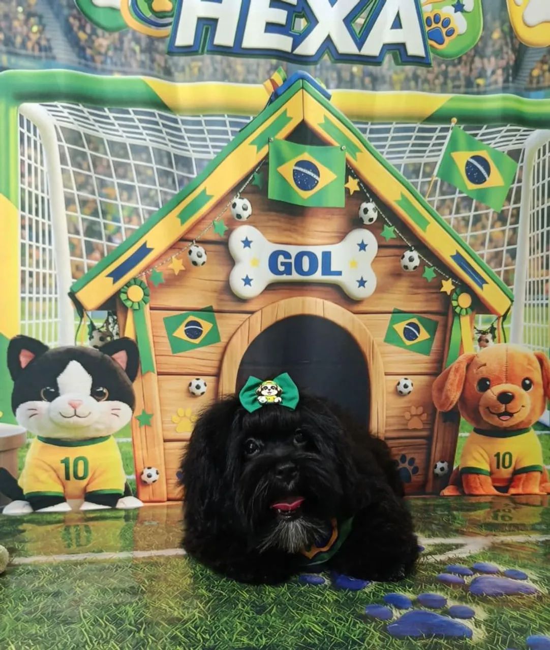 Dog - Foto 3