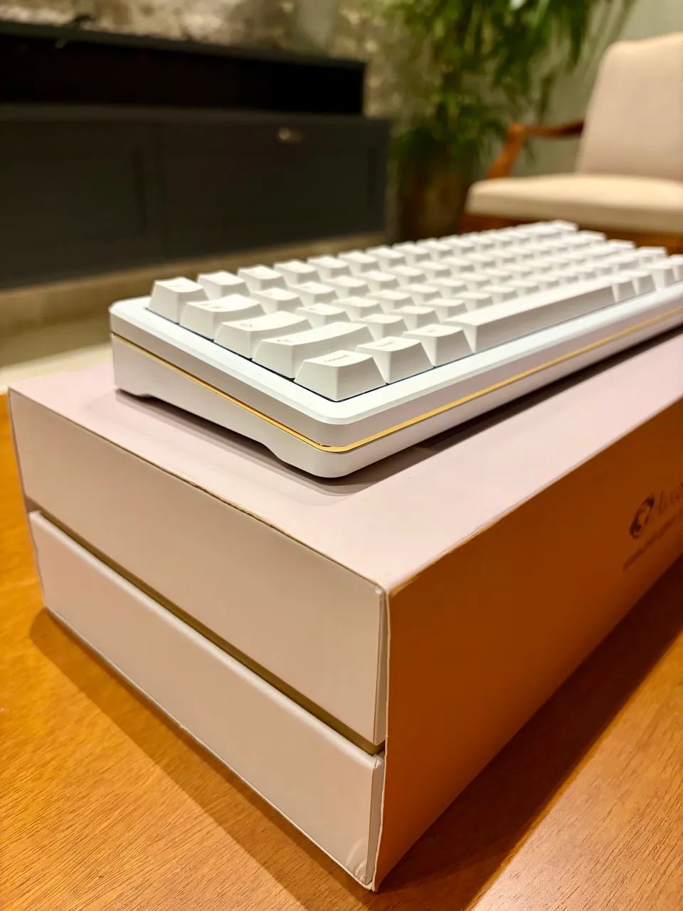 Teclado Mecânico Akko SPR67 Branco Completo - Foto 5