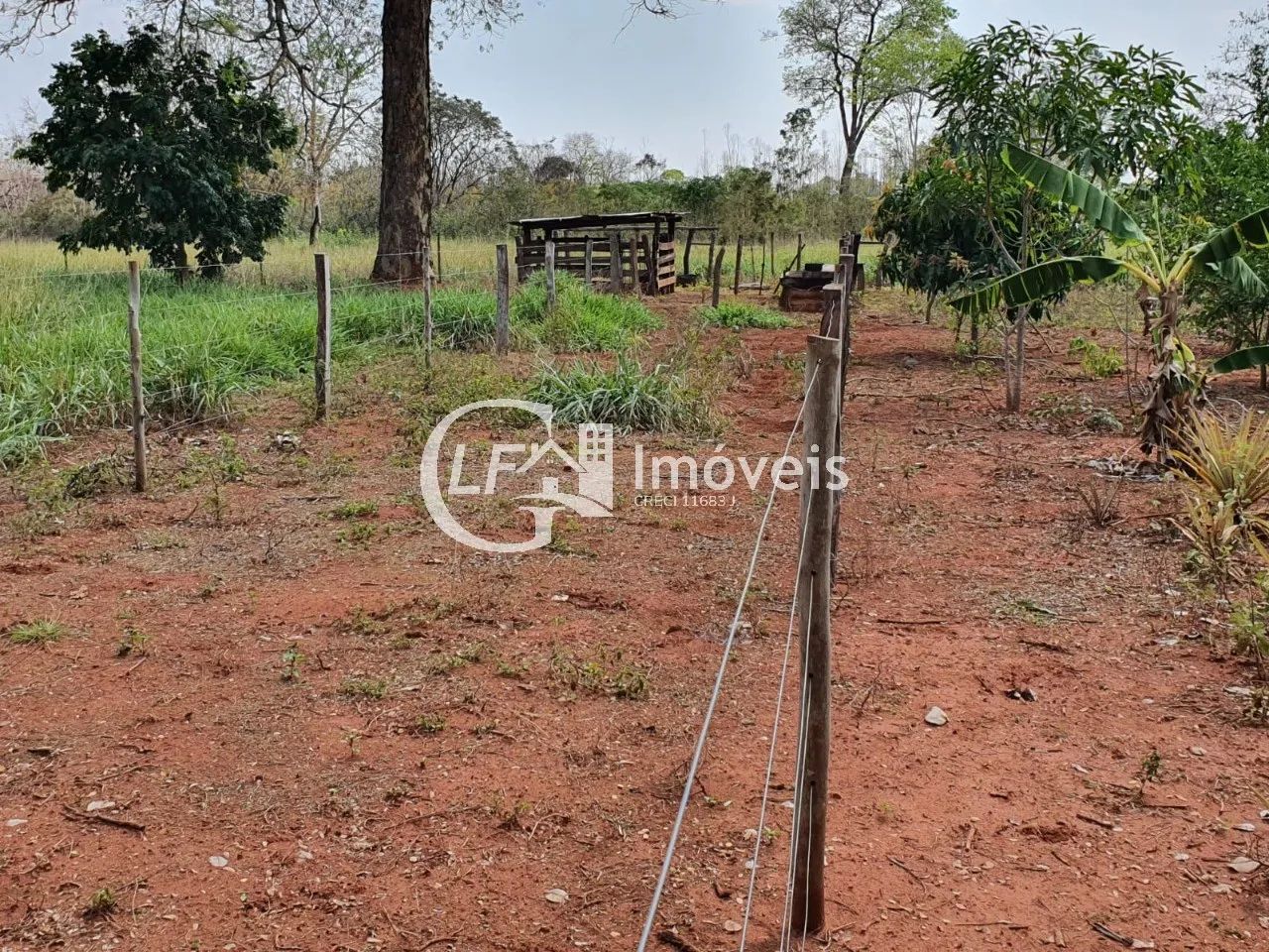 Chácara 7 Hectares com Poço-artesiano e Casa Grande - Foto 5