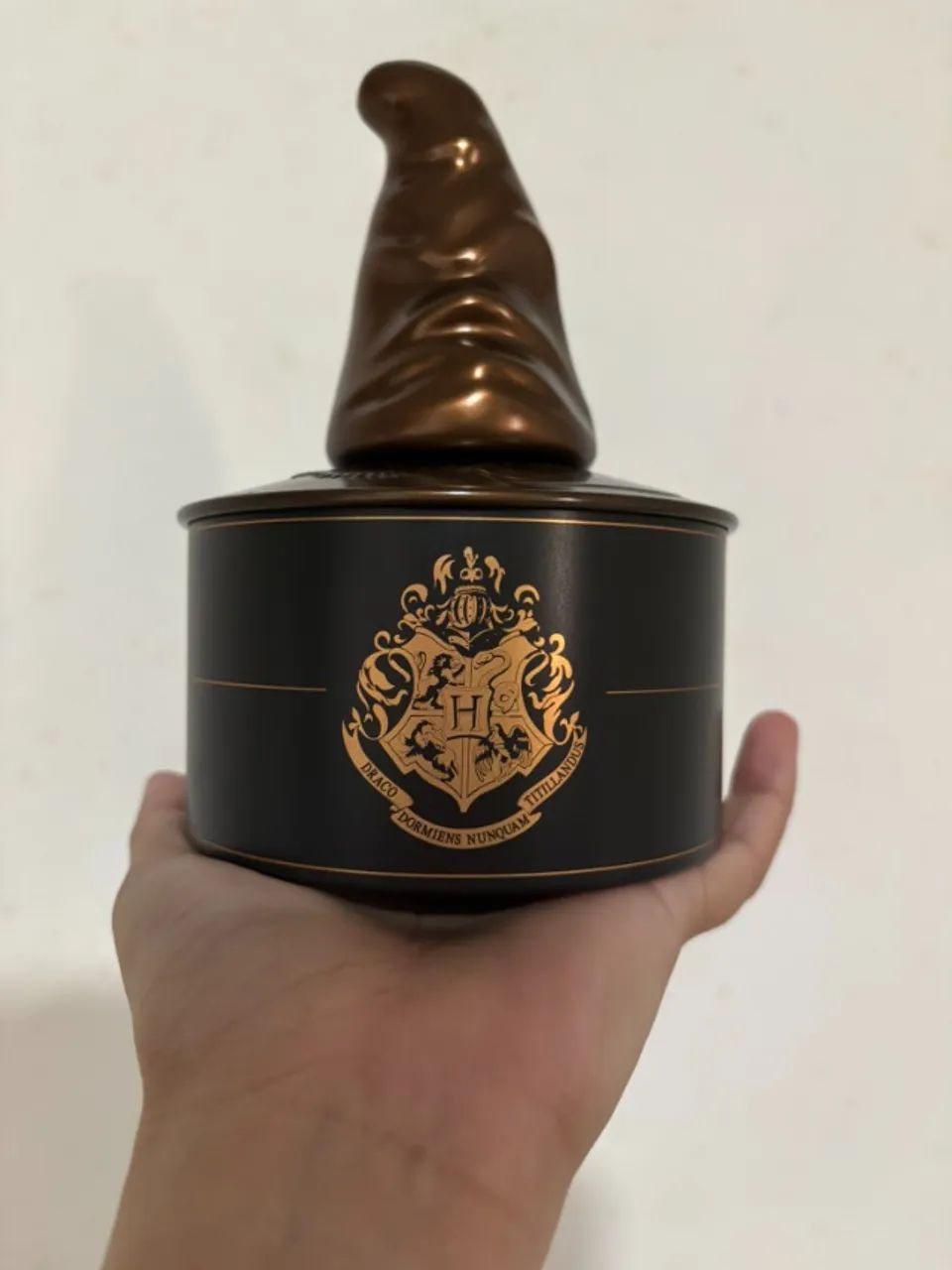 Lata chapéu harry potter cacau show - Foto 2