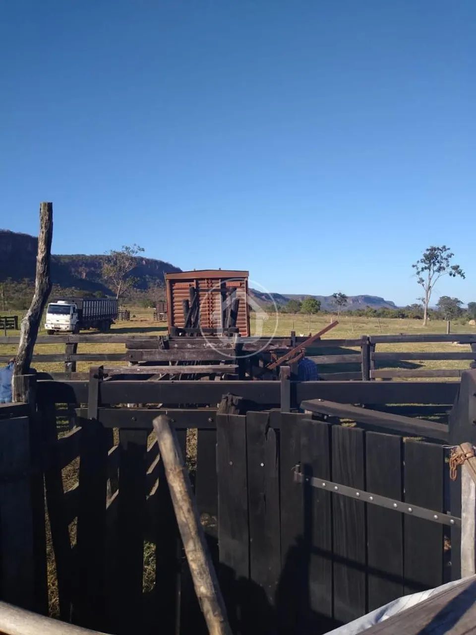 FAZENDA BRILHO DA PEDRA RIO VERDE MS - Foto 5