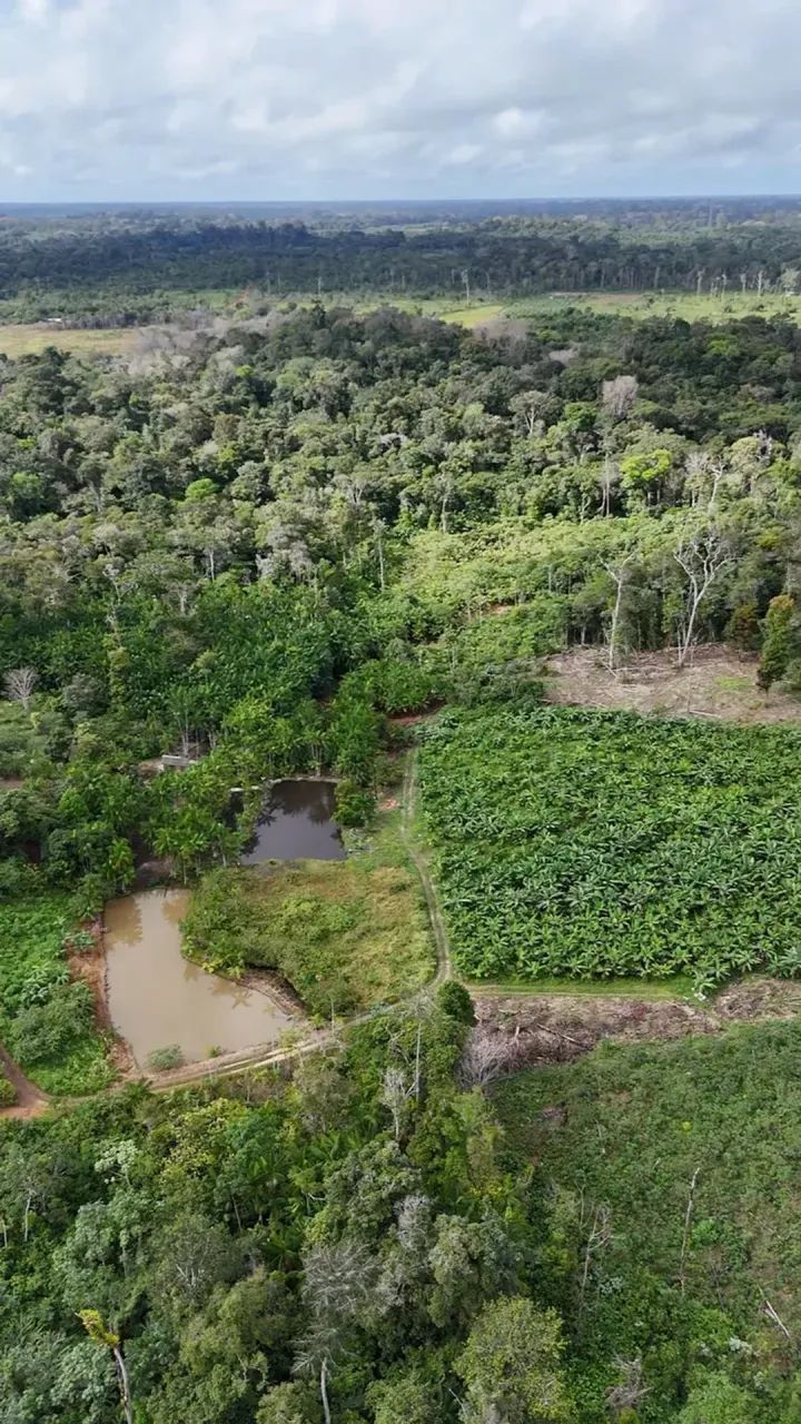 Fazenda/Sítio/Chácara para venda com 470000 metros quadrados com 2 quartos - Foto 3