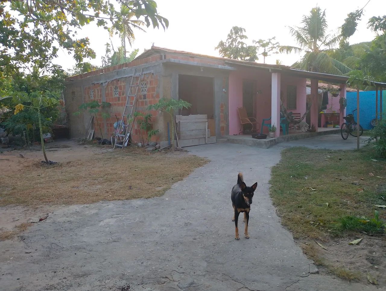 Chácara à Venda - Povoado Aningas, Lagoa RedondaPirambu/SE<br> - Foto 2