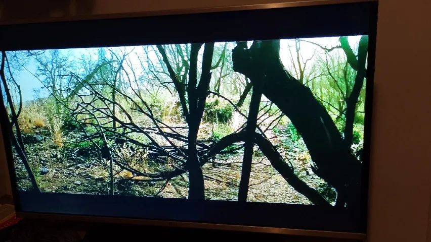 TV LG 6350 43"