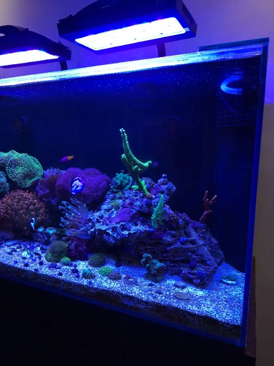 AQUARIO MARINHO 200 LITROS - Foto 4