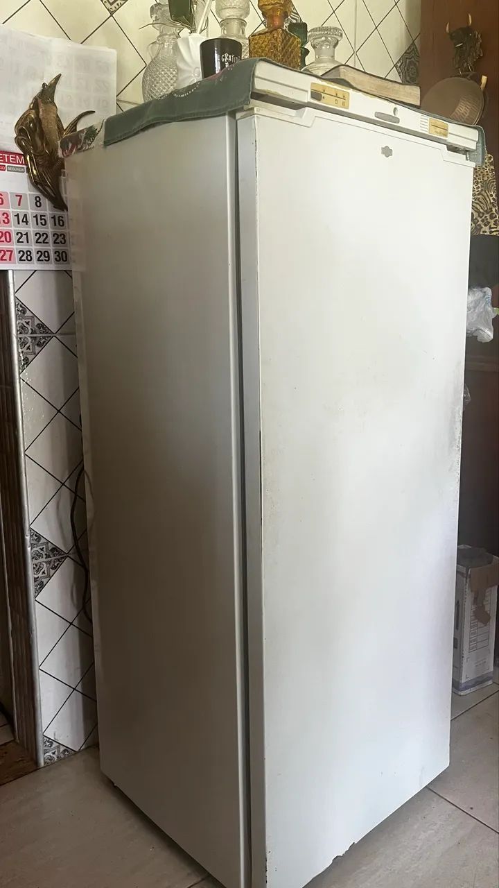 FREEZER VERTICAL BRD37A 260 LITROS  - Foto 3